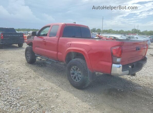 3TYRX5GNXPT072496 2023 TOYOTA TACOMA Red უკანა მარცხენა