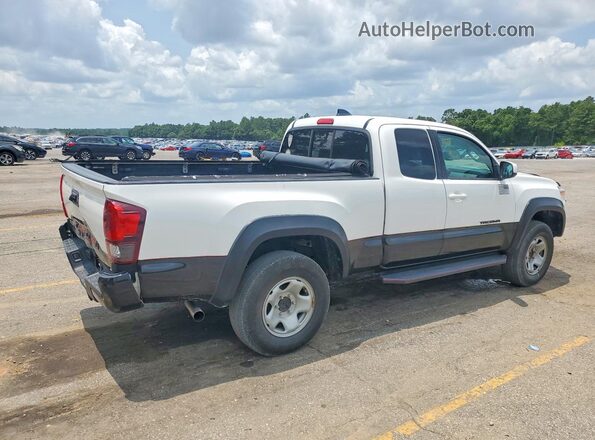3TYRZ5CNXNT024249 2022 TOYOTA TACOMA White Tył prawy