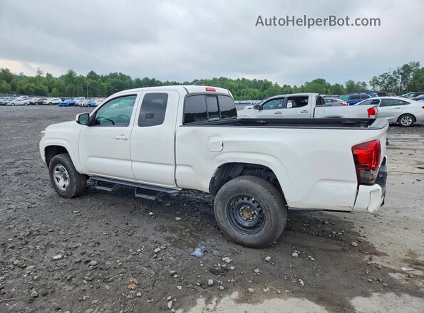 3TYSX5EN3PT017781 2023 TOYOTA TACOMA White უკანა მარცხენა