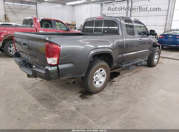 3TYSX5ENXPT019320 2023 TOYOTA TACOMA Gray Tył prawy