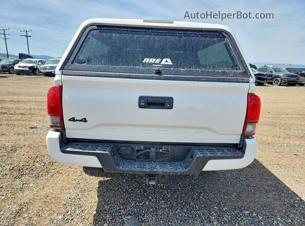 3TYSZ5AN1MT020173 2021 TOYOTA TACOMA White Հետևի տեսք