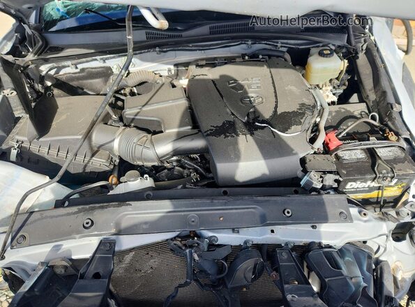 3TYSZ5AN5MT009452 2021 TOYOTA TACOMA Gray Вид задньої частини салону