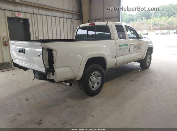 3TYSZ5ANXPT118087 2023 TOYOTA TACOMA White Հետևի աջ