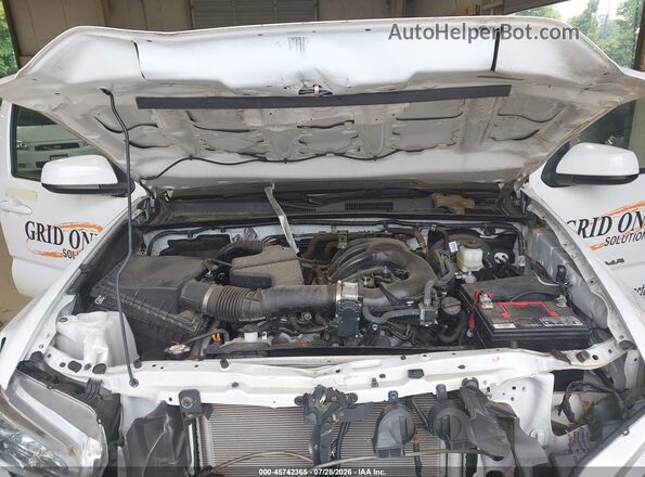 3TYSZ5ANXPT118087 2023 TOYOTA TACOMA White Հետևի տեսք