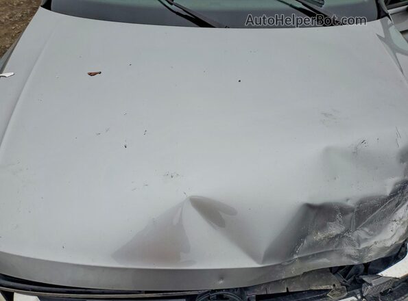 3VV0B7AX1LM118799 2020 VOLKSWAGEN TIGUAN Серебряный Вид задней части салона