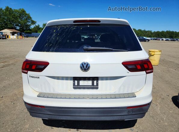 3VV1B7AX8KM110654 2019 VOLKSWAGEN TIGUAN White Vista trasera