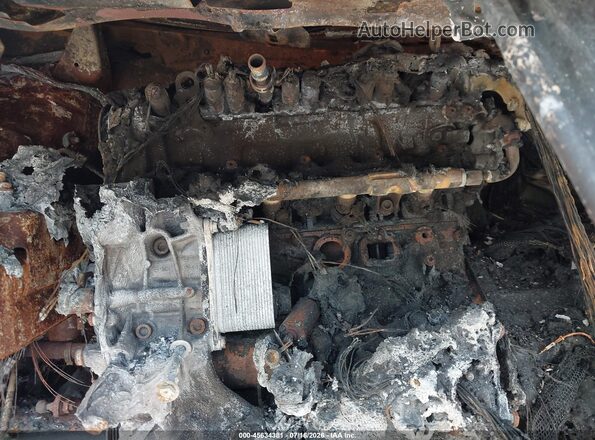 3VV3B7AX8KM153061 2019 VOLKSWAGEN TIGUAN Белый Вид сзади