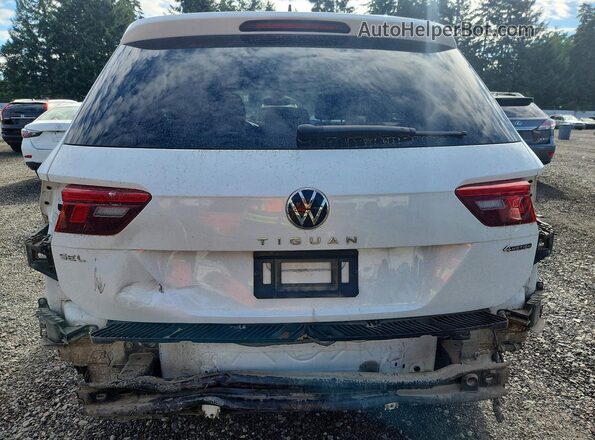 3VV4B7AX9NM154339 2022 VOLKSWAGEN TIGUAN White Вид ззаду