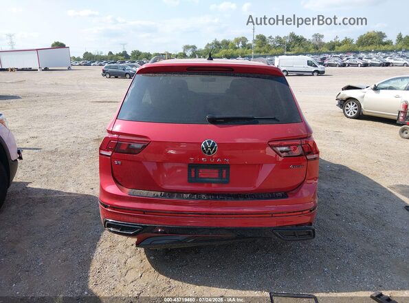 3VV8B7AX0RM229002 2024 VOLKSWAGEN TIGUAN Красный 