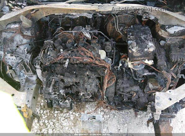 3VV8B7AX8PM128089 2023 VOLKSWAGEN TIGUAN Gray Widok z tyłu