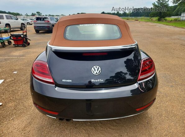 3VW5DAAT1KM507981 2019 VOLKSWAGEN BEETLE Black Widok z tyłu