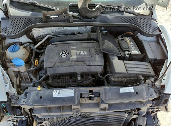 3VWF17AT1HM618894 2017 VOLKSWAGEN BEETLE Белый Вид задней части салона