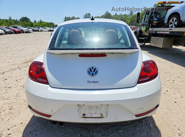 3VWF17AT2HM630066 2017 VOLKSWAGEN BEETLE White უკანა ხედი