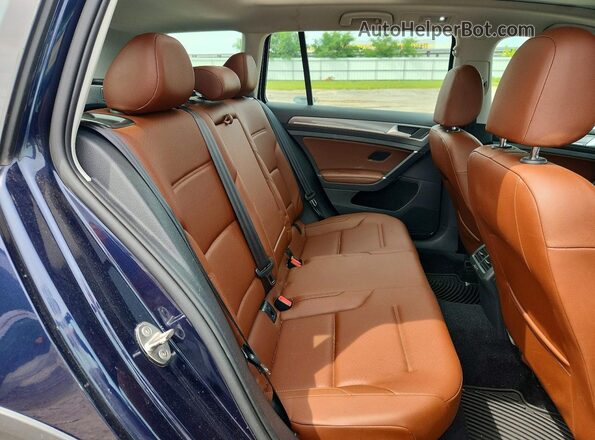 3VWH17AU1HM538786 2017 VOLKSWAGEN GOLF Blue Rear seats view
