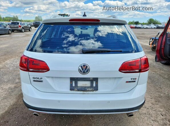 3VWH17AU5HM521313 2017 VOLKSWAGEN GOLF White უკანა ხედი