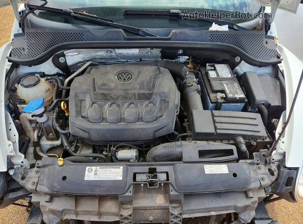 3VWJD7AT4JM710556 2018 VOLKSWAGEN BEETLE Белый Вид задней части салона