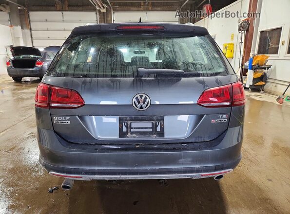 3VWM17AU6HM544758 2017 VOLKSWAGEN GOLF Gray Vista trasera