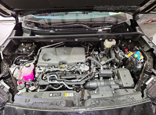 2T36CRAV9TC018823 2026 TOYOTA RAV4 Black Vista de la etiqueta del VIN