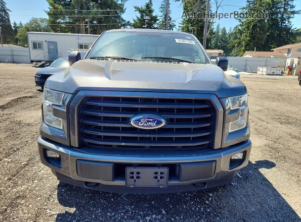 1FTEW1EG8HFA47317 2017 FORD F150 Charcoal Rear view