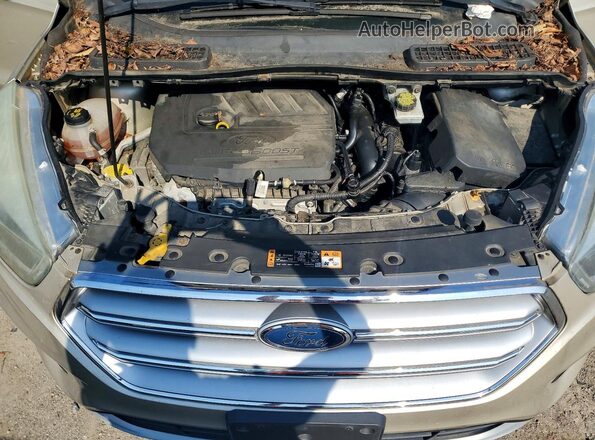 1FMCU9GD3HUC19937 2017 FORD ESCAPE Beige Vista de la etiqueta del VIN