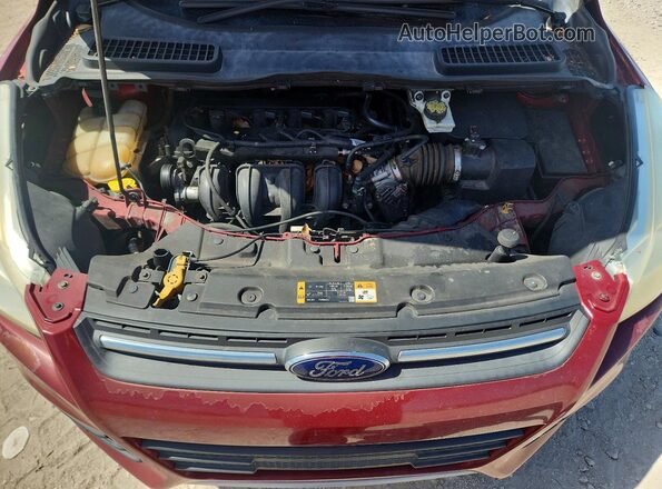 1FMCU0G74GUC28957 2016 FORD ESCAPE Red Vista de la etiqueta del VIN