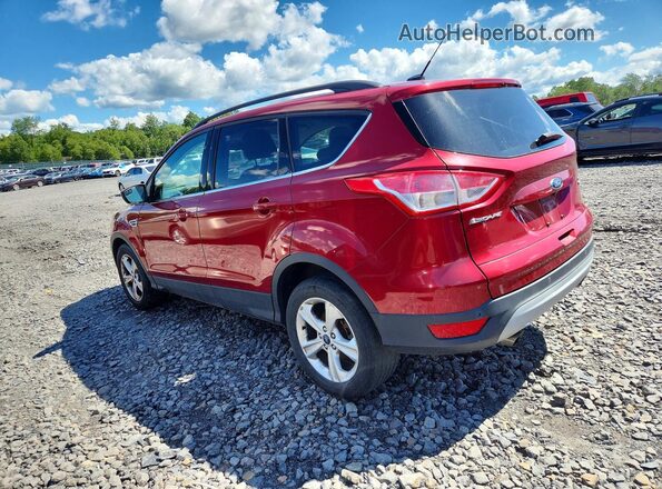 1FMCU9GXXGUA42098 2016 FORD ESCAPE Red Հետևի աջ