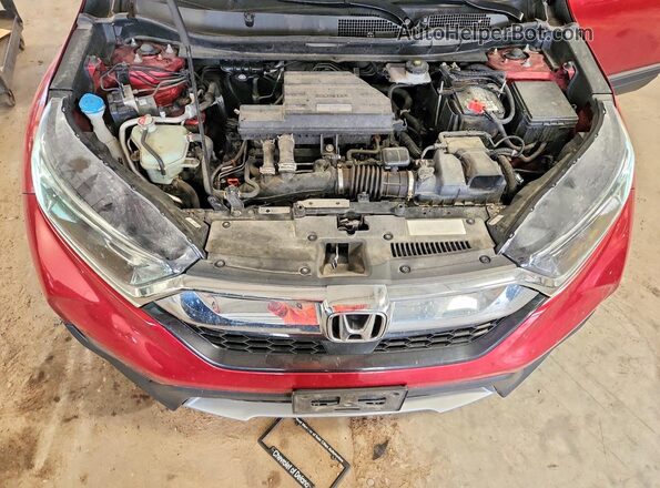 5J6RW2H55HL070986 2017 HONDA CR-V Red VIN կոդի պիտակի տեսք