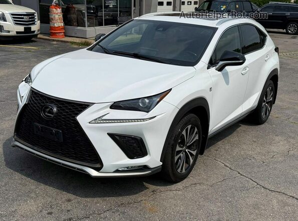 JTJSARDZ1L5006364 2020 LEXUS NX White Tył lewy