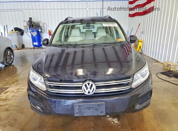 WVGBV7AX7GK000294 2016 VOLKSWAGEN TIGUAN Blue Вид ззаду