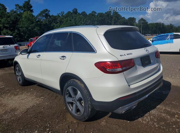 WDC0G4JB8HF249023 2017 MERCEDES-BENZ GLC-CLASS White Հետևի աջ