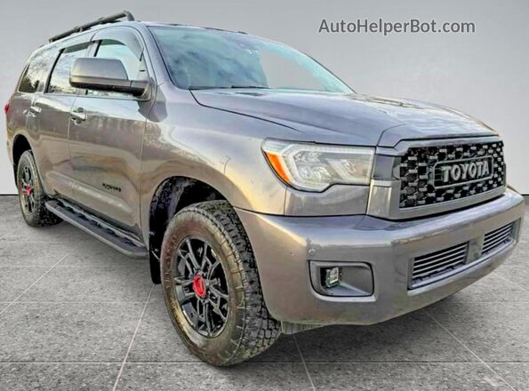 5TDEY5B10MS182254 2021 TOYOTA SEQUOIA Gray Հետևի ձախ
