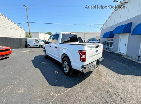 1FTEW1C55LKE07760 2020 FORD F150 Белый Передняя правая четверть