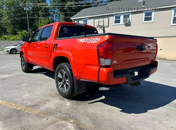 3TMCZ5AN3GM012158 2016 TOYOTA TACOMA Red Trasero derecho