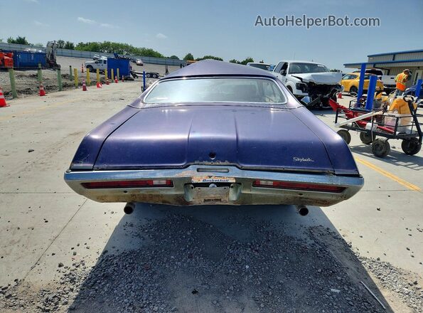 4353791142054 1969 BUICK SKYLARK Синий Вид сзади