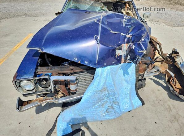 4353791142054 1969 BUICK SKYLARK Синий Вид задней части салона