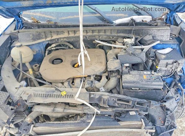 KM8J2CA4XLU212849 2020 HYUNDAI TUCSON Blue Vista de la etiqueta del VIN