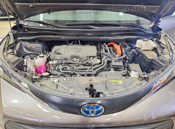 5TDYSKFC7RS114503 2024 TOYOTA SIENNA Gray Widok naklejki z numerem VIN