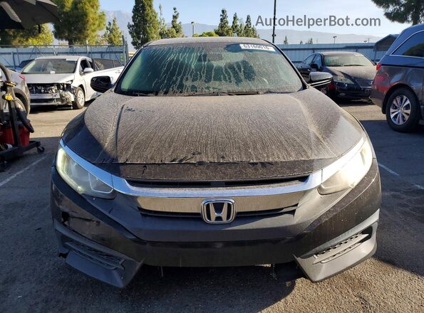 2HGFC2F59HH516317 2017 HONDA CIVIC Black Widok z tyłu