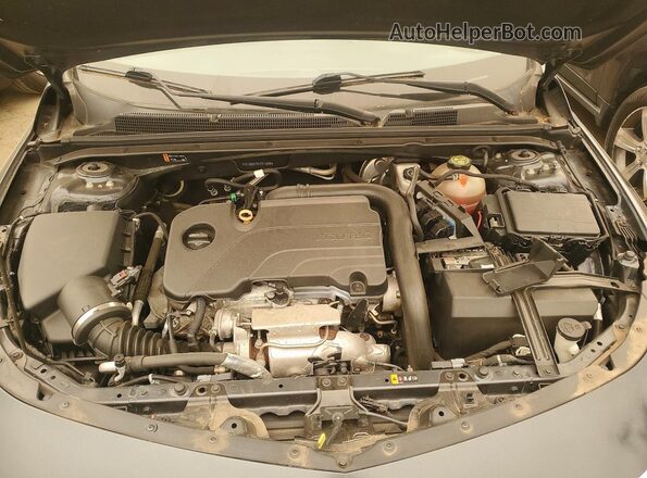 1G1ZD5ST0LF071208 2020 CHEVROLET MALIBU Gray Engine compartment view