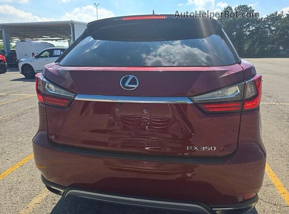 2T2AZMDA7LC212209 2020 LEXUS RX 350 Red VIN sticker view