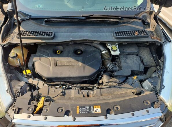1FMCU9J99HUA02123 2017 FORD ESCAPE Gray Vista de la etiqueta del VIN