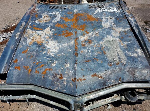 454670X150605 1970 BUICK LESABRE Burn Vista interior trasera