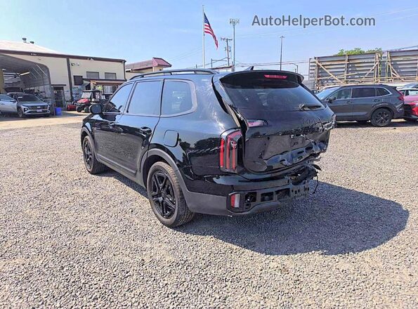 5XYP3DGC2SG614607 2025 KIA TELLURIDE Black Tył prawy