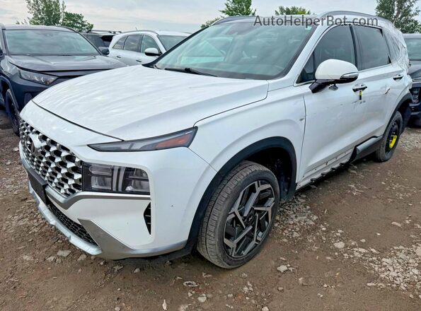 KM8S5DA19PU099554 2023 HYUNDAI SANTA FE White Rear right