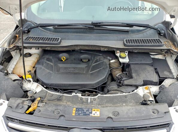 1FMCU9J94GUB54941 2016 FORD ESCAPE Белый Вид наклейки с VIN-кодом