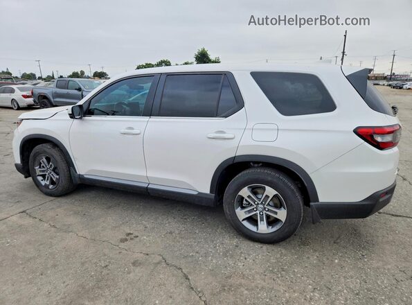 5FNYG2H49SB010564 2025 HONDA PILOT White Trasero derecho