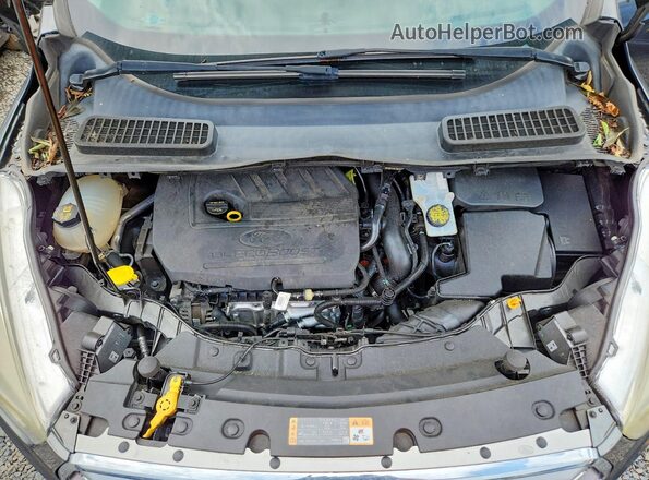 1FMCU9GD9HUE67433 2017 FORD ESCAPE Gray VIN კოდის სტიკერის ხედი