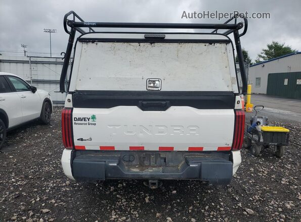 5TFKB5DA3PX099515 2023 TOYOTA TUNDRA White 