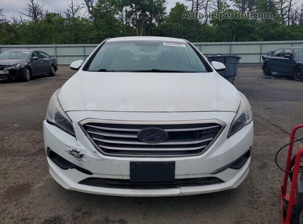5NPE24AF8GH353044 2016 HYUNDAI SONATA Белый Вид сзади