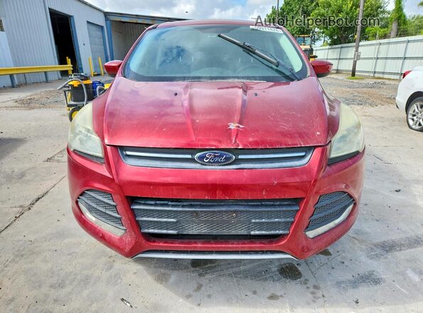 1FMCU0GX5GUC25758 2016 FORD ESCAPE Red Vista trasera